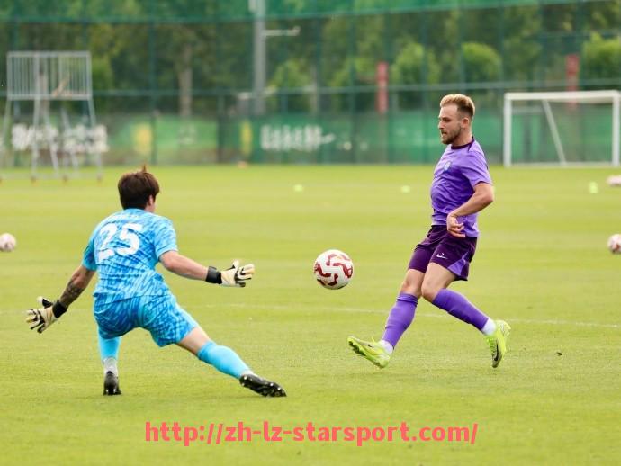 星空体育app-意甲联赛球队特性及风格多样性探讨