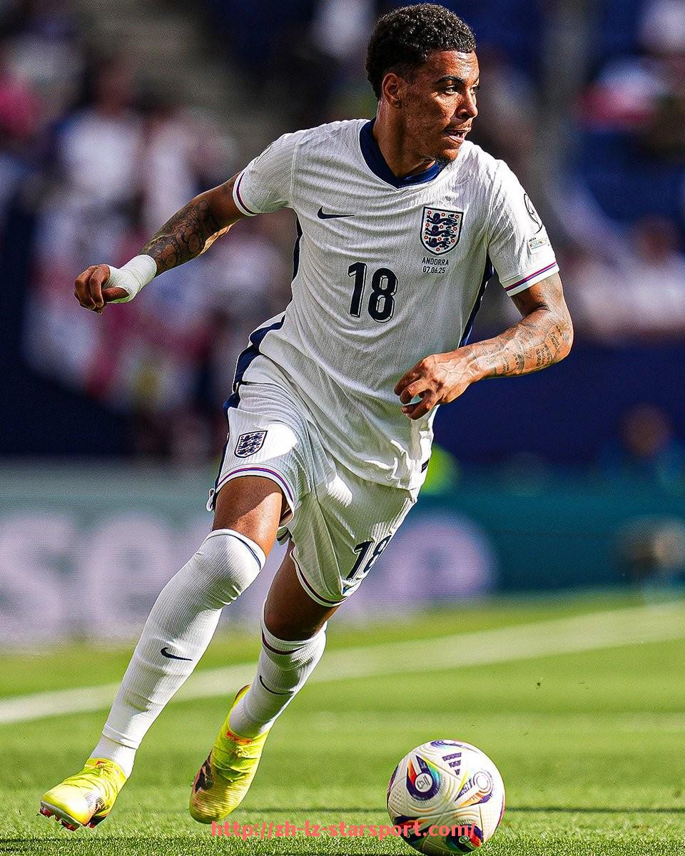 星空体育app-法甲青训成果展示及年轻球员崛起分析