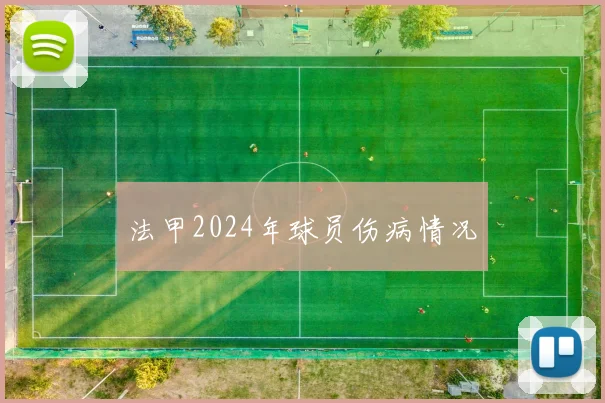 法甲2024年球员伤病情况
