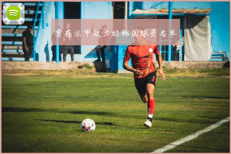 曾在法甲效力的韩国球员名单