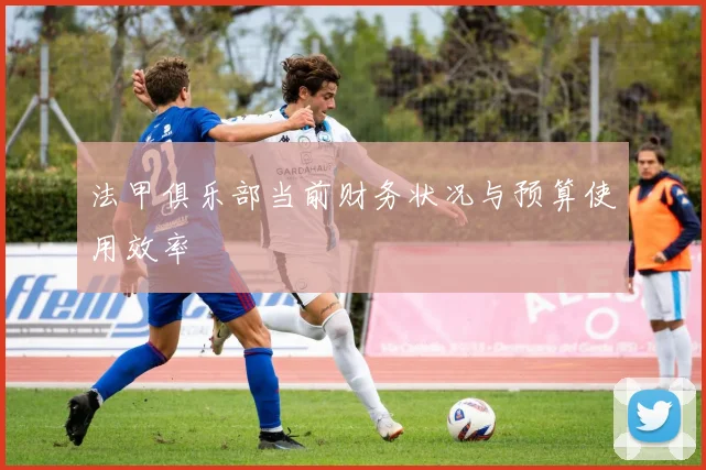 法甲俱乐部当前财务状况与预算使用效率
